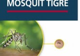 MOSQUIT TIGRE